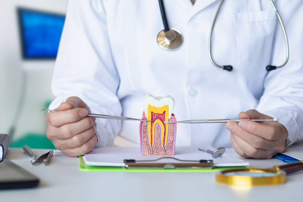 Best Walk-In Emergency Dental Services in Anderson, SC
